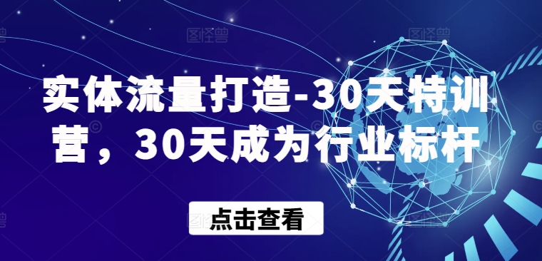实体流量打造-30天特训营，30天成为行业标杆-星空资源库