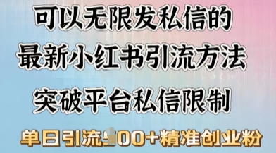 最新“摆烂式”引流打法，小红书私信引流，单天引流100+-星空资源库