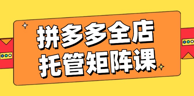 （14328期）拼多多全店托管矩阵课，盈利动销玩法，高效计划设置，提升店铺效益-星空资源库