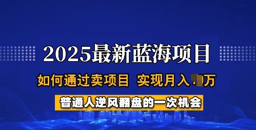 2025蓝海项目，普通人如何通过卖项目，实现月入过W，全过程【揭秘】-星空资源库
